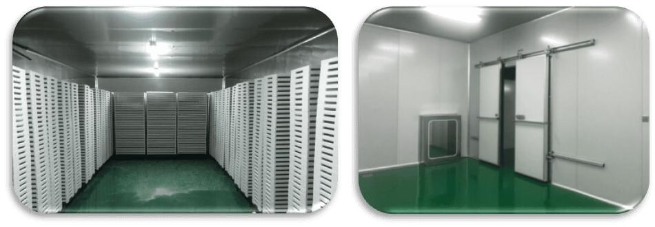 Curing Room/Dry Room